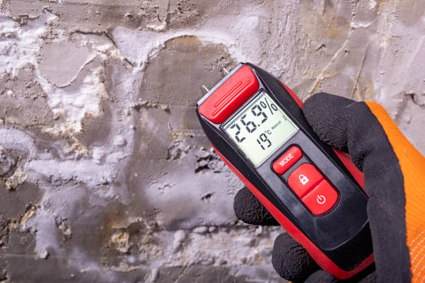 Best Commercial Mold Remediation in Kirkland, IL