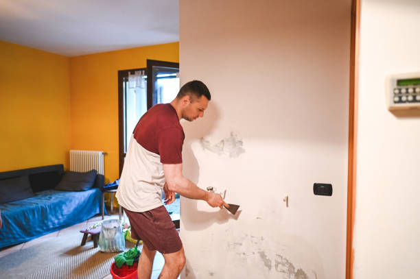 Best Localized Mold Remediation (e.g., coastal areas, humid climates) in Kirkland, IL